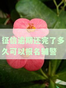 征信逾期还完了多久可以报名辅警