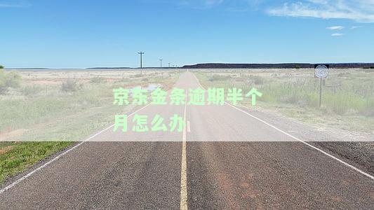 京东金条逾期半月后能否分期还款？已还逾期部分，仍受何影响？