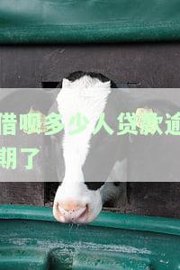 借呗借款逾期多久会面临诉讼？逾期金额达到多少会被起诉？逾期对征信有何影响？