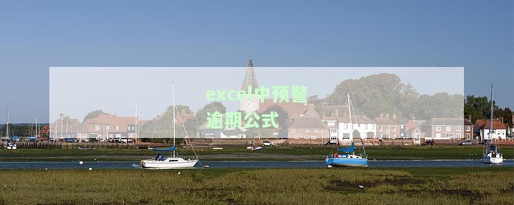 Excel如何设置预警公式：教程、取消方法与显示设置