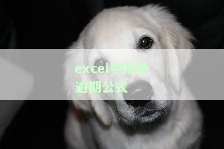 Excel超期预警：如何设置及使用到期提示函数