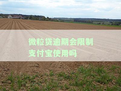 微粒贷逾期会限制支付宝使用吗-微粒贷逾期会限制支付宝使用吗安全吗