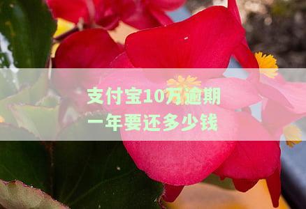 支付宝10万逾期一年要还多少钱-支付宝10万逾期一年要还多少钱呢