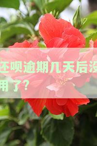 还呗逾期多久上征信？逾期影响及解决方法