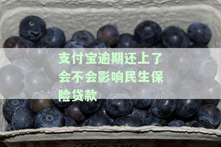 支付宝逾期会影响保单吗？答案在这里！