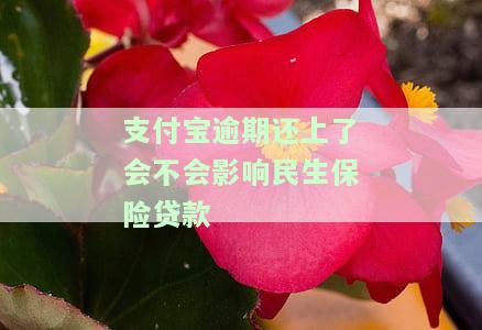 支付宝逾期已还款，对征信有影响吗？怎么恢复？