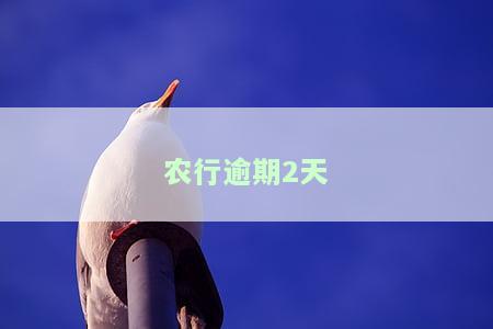 农业银行贷款逾期两天会留下不良记录吗？对征信有影响吗？