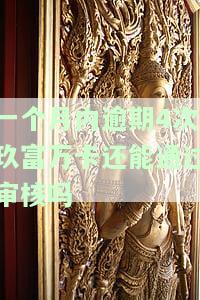 一个月内逾期4次玖富万卡还能通过审核吗