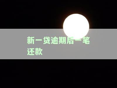 新一贷逾期多久会被强制还款？还会坐牢吗？贷款逾期人数多吗？逾期一年如何协商？