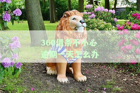逾期一天会影响借款吗？会不会自动还款？安全性如何？