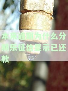 分期乐还完后征信仍有记录？已结清为何还显示借款？