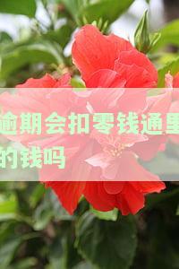 逾期微信零钱会被冻结吗？影响转账、聊天及借贷功能吗？