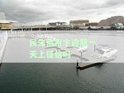 民生信用卡逾期多久会停卡？影响及后果解析