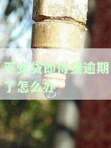 平安贷即得利息计算方法及好借吗？