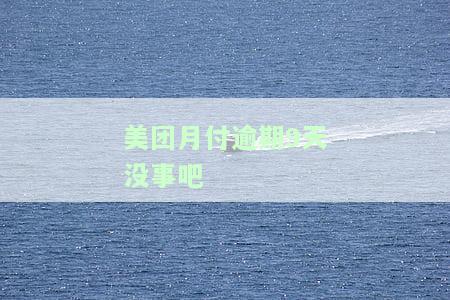美团月付逾期几天后还款了，多久可以再次使用？