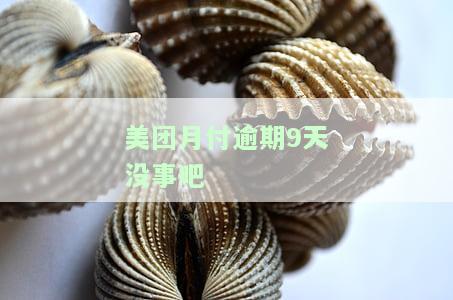 美团月付逾期9天没事吧