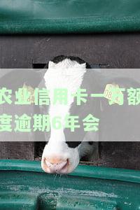 欠农业银行信用卡一万已逾期一年多，该如何还款？