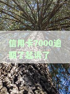 欠信用卡逾期起诉会拘留吗？影响及后果详解