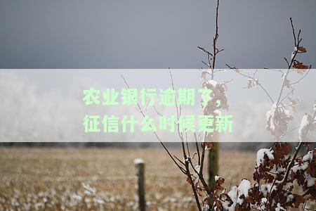 农业银行逾期后，征信多久更新？逾期还款对信用有何影响？