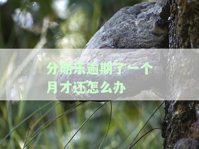 分期乐逾期一个半月会要求一次性还清所有欠款吗？逾期一个月后还款会影响使用吗？已还清能否再次借款？逾期一个月后还需偿还多少？