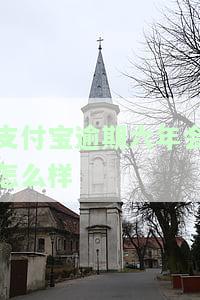 支付宝逾期几年会怎样？影响及处理方式解析