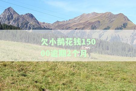欠小鹅花钱逾期了：如何处理还款问题及可能的后果