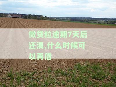 微粒贷逾期后还完款，多久可以再次借款？