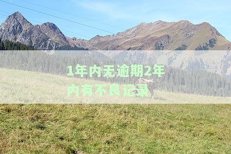 1年内无逾期，2年内有不良记录？如何处理？