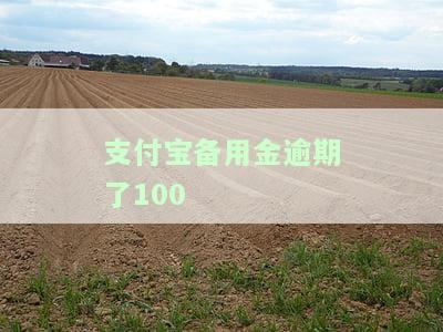 支付宝备用金逾期后还款，能否继续使用？