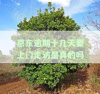 京东逾期半年五千多，上门是真的吗？如何处理逾期问题？