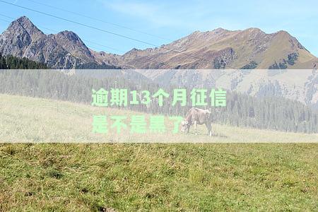 逾期13个月，征信是否已黑？如何查询及查看？