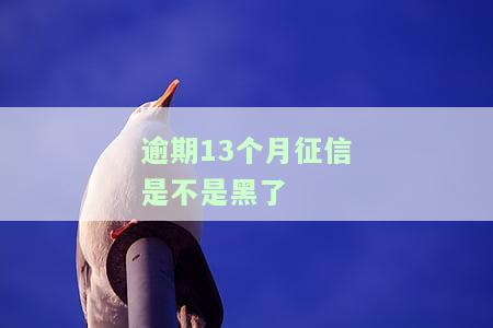 逾期13个月贷款：影响及解决办法