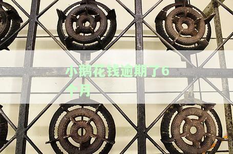 小鹅花钱逾期6个月，还款后有额度吗？逾期3个月、无法还款等情况如何处理？