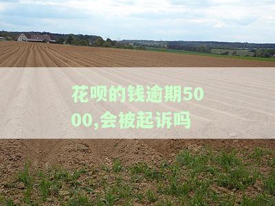 花呗欠款5000逾期后，会否被起诉？知乎上有相关讨论与经验分享！