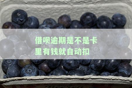 借呗逾期会自动扣余额和银行卡吗？安全性与处理方法解析