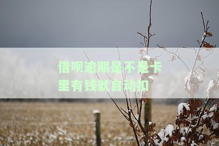 借呗逾期是不是卡里有钱就自动扣-借呗逾期是不是卡里有钱就自动扣了