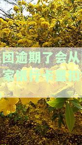 美团逾期了会从同一家银行卡里扣钱吗-美团逾期了会从同一家银行卡里扣钱吗