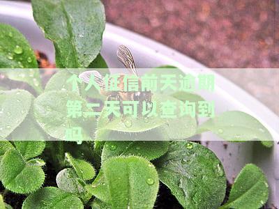 征信有一天逾期记录：影响贷款购房吗？银行竟然还能批准贷款！