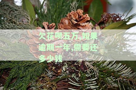 蚂蚁借呗花呗逾期五万四，如何处理？会被起诉吗？