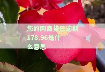 您的网商贷已逾期178.96，请问这是什么意思？需要如何解决？