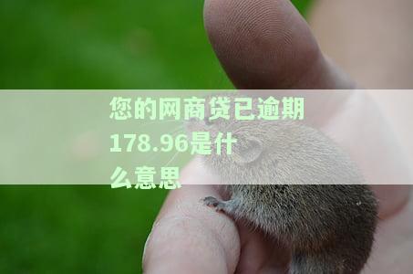 网商银行贷款逾期后忽然全结清，数据何时消除？点击还款却显示无欠款，如何解决？