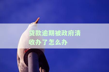 政府清收不良贷款合法吗？探讨其法律性质与影响