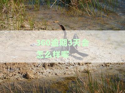 360逾期3天会怎么样？影响及解决办法全解析
