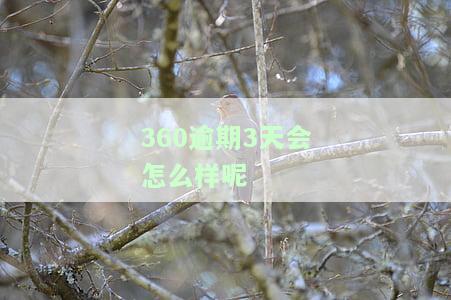 360逾期3天会产生什么影响？知乎用户分享经验与解决方案