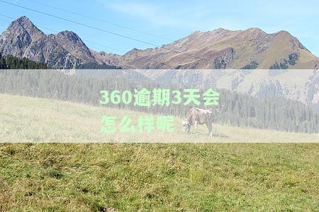 360逾期三天，征信上真的会有逾期记录吗？如何避免和消除逾期记录？