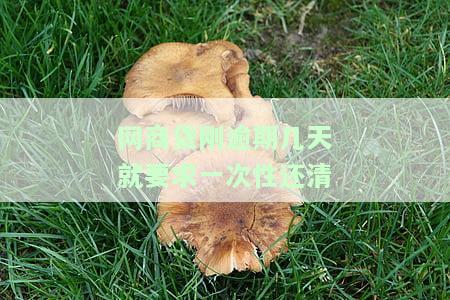 网商贷刚逾期几天就被要求一次性还清？是否可行、安全？对银行贷款有影响吗？