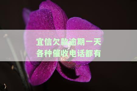 宜信逾期几天就爆通讯录，给家人打电话会持续多久？还了还会再打吗？逾期催收可信吗？给朋友打骚扰电话怎么办？逾期后宜信当地来电含义是什么？