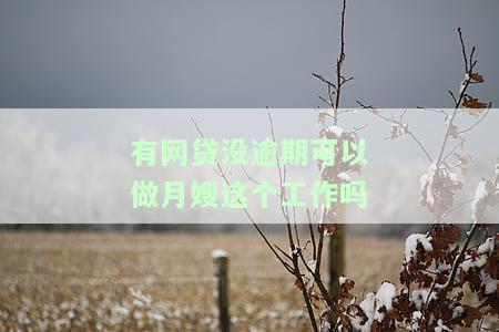 有网贷没逾期可以做月嫂、银行工作或注册公司吗？知乎探讨