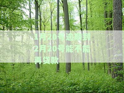 1月20号逾期到2月20号能不能再贷款-1月20号逾期到2月20号能不能再贷款呢