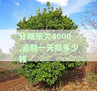 分期乐欠4000,逾期半个月无钱还，有何解决办法？